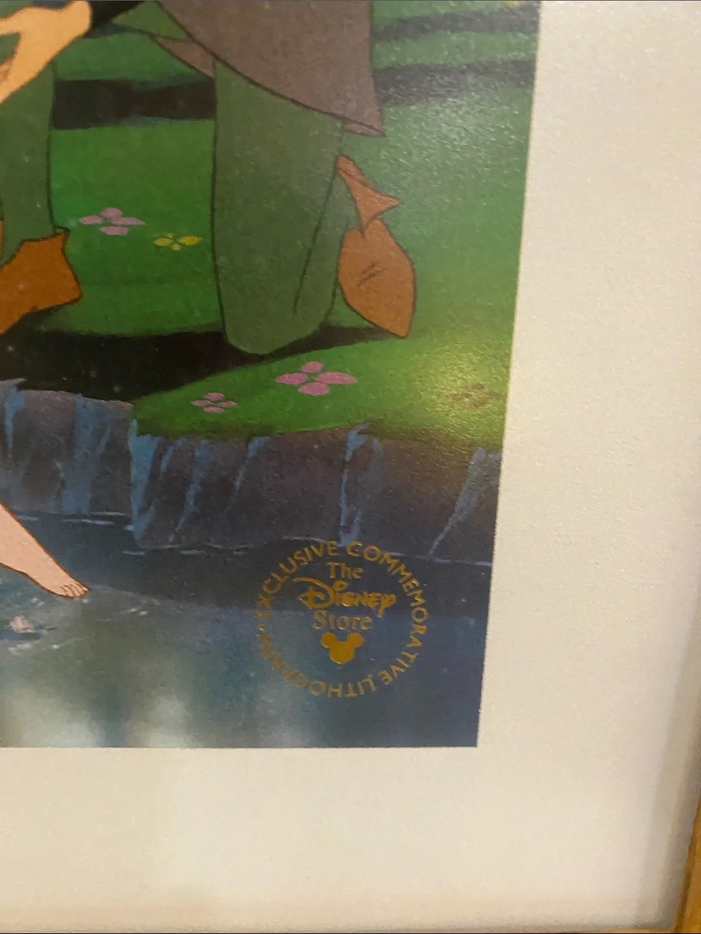 Disney Framed Princess Prints in Blue, Green and Brown